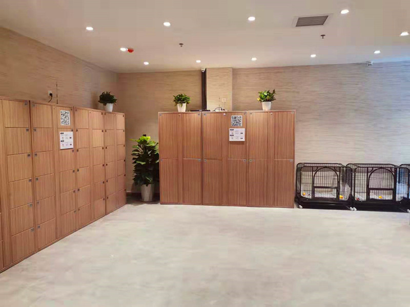 5da57866984a6.jpg 5da57866984a6.jpg